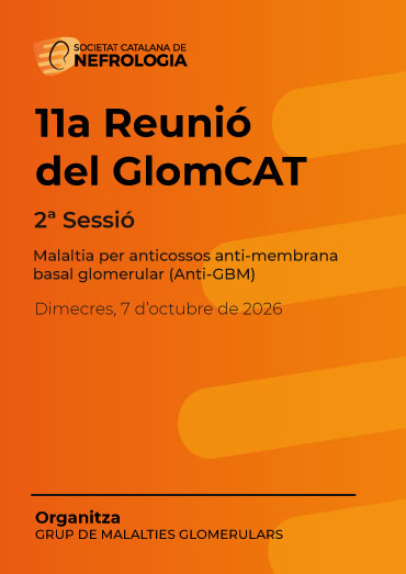 11a Reunió del GlomCAT. 2ª Sessió